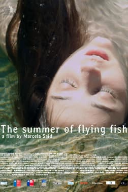 The Summer Of Flying Fish