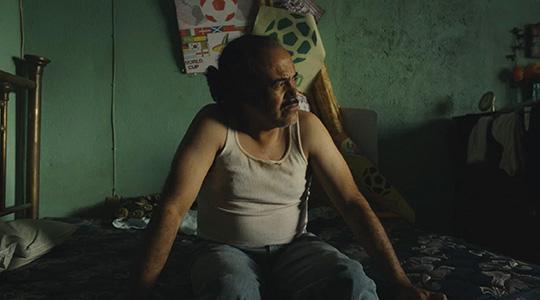 Domingo - Image 21