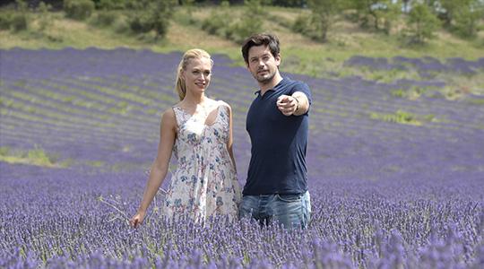 A Summer in Southern France