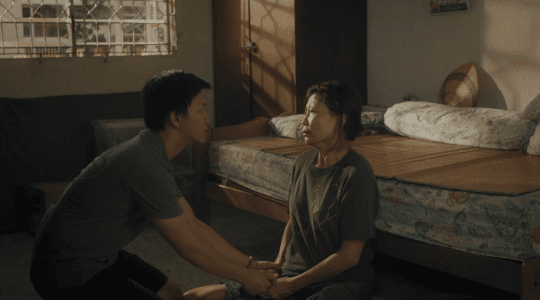 Bodhi - Image 01