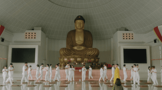 Bodhi - Image 21