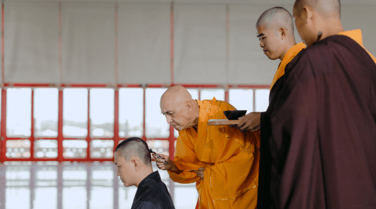 Bodhi - Image 31