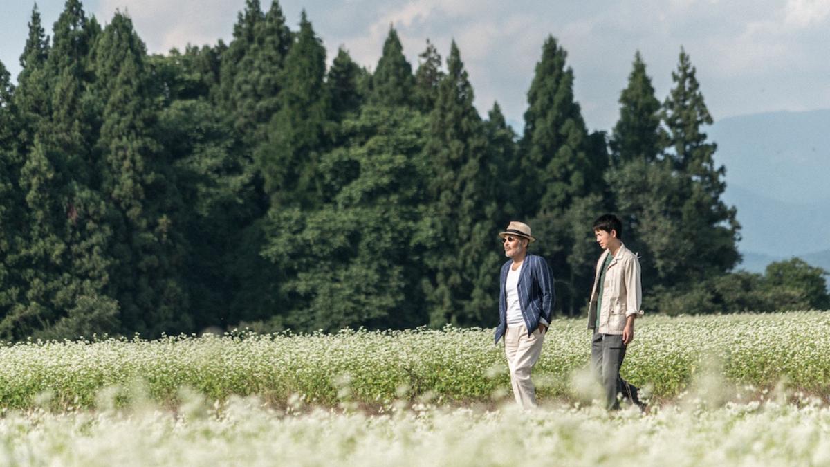 Complicity Complicity