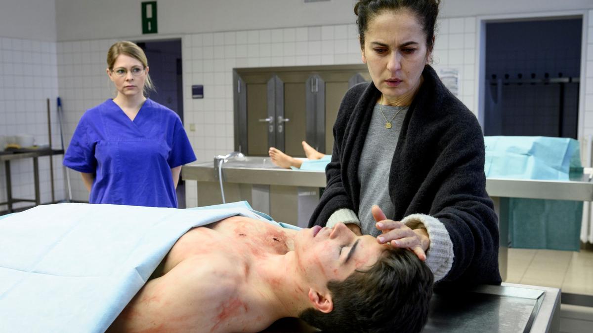 Hunt For The Bosses Hunt For The Bosses