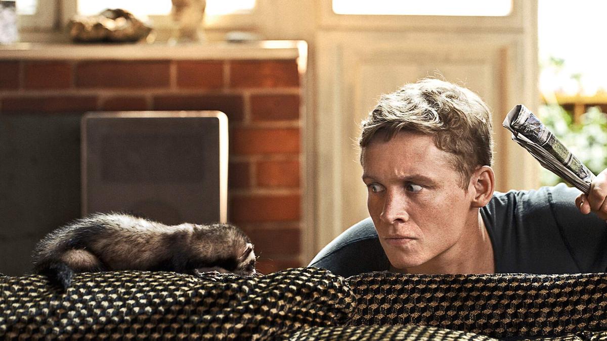 Joy Of Fatherhood Joy Of Fatherhood