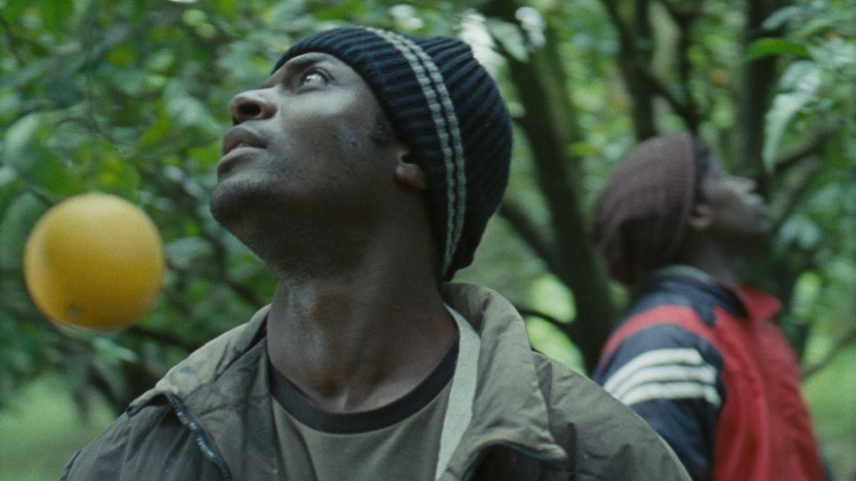 Mediterranea banner Mediterranea banner