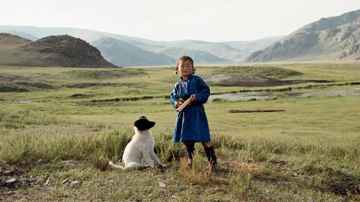 The Cave Of The Yellow Dog The Cave Of The Yellow Dog