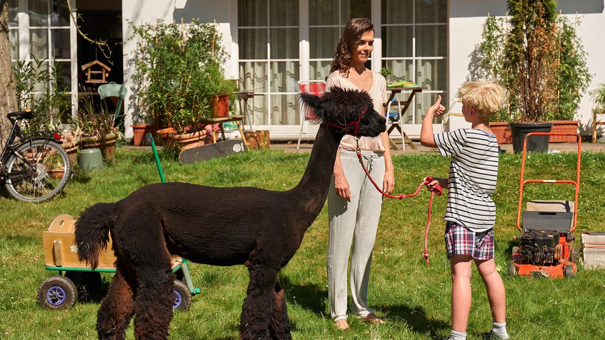 The Winner And I The Winner And I