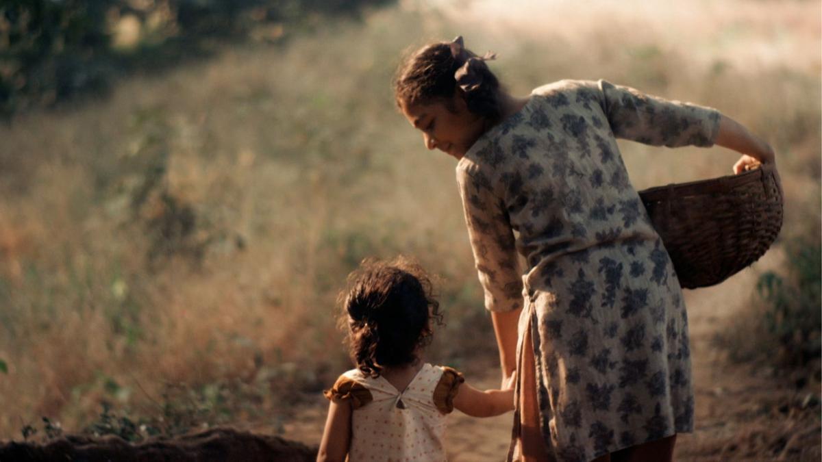 traces-of-sandalwood-movie-film-festival-banner-picture traces-of-sandalwood-movie-film-festival-banner-picture