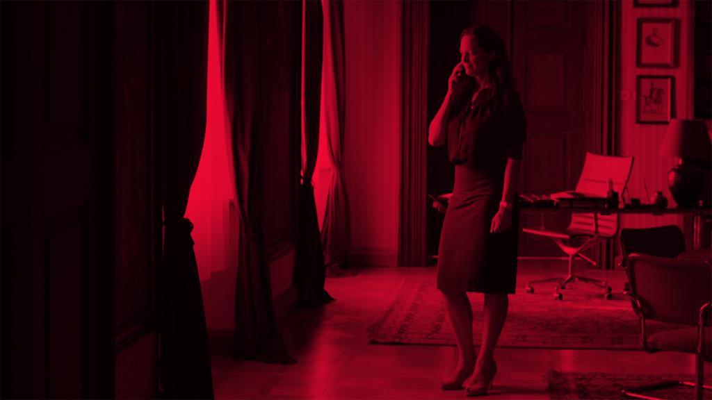 The Lady Diplomat The Lady Diplomat