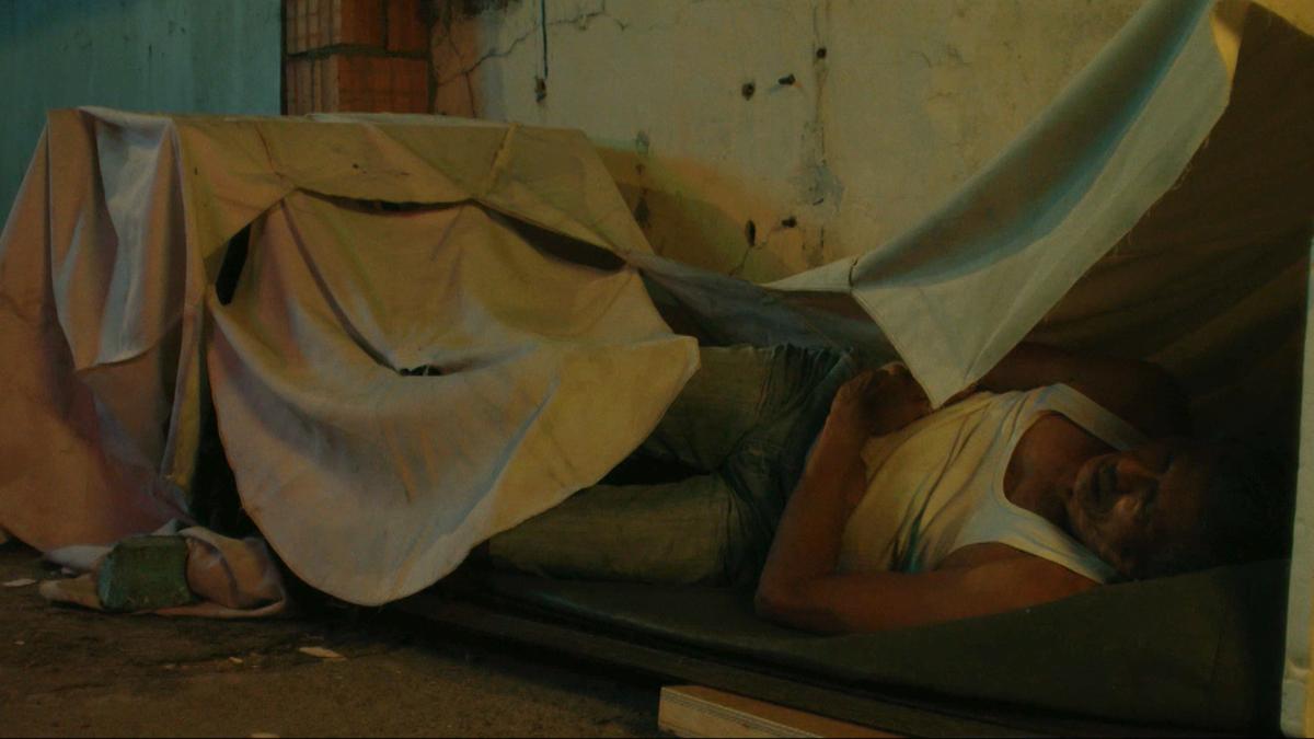 Cardboard House Cardboard House