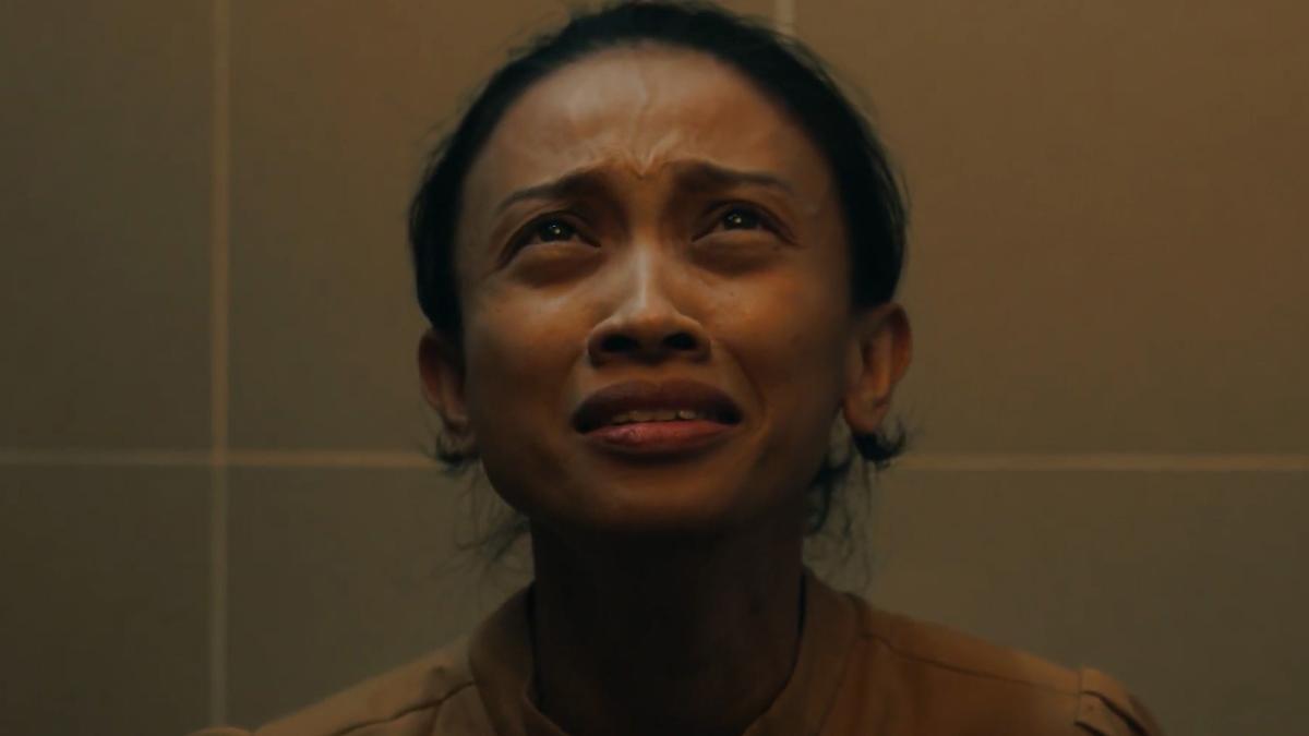 Domesticated Domesticated