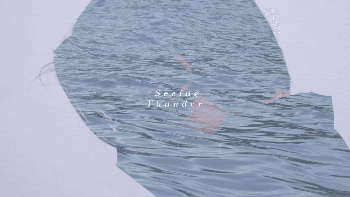 Seeing Thunder Seeing Thunder