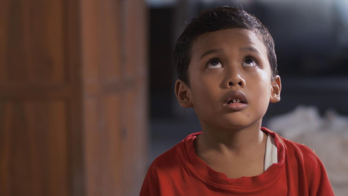 The Lottery Seer The Lottery Seer