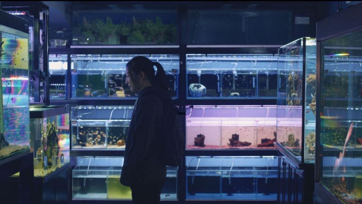 Two Weeks In July Two Weeks In July